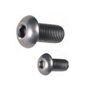 Mounting Screw